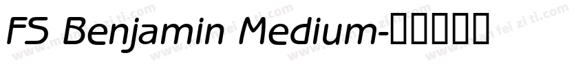 FS Benjamin Medium字体转换